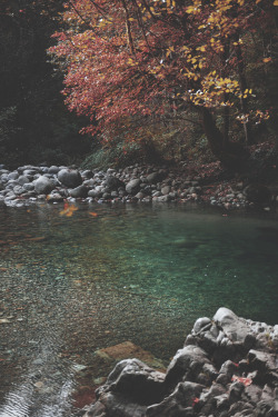 teapalm:  (Tasha Marie) | Lynn Canyon