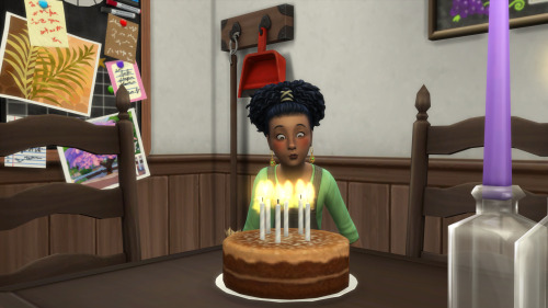 simsbustindown