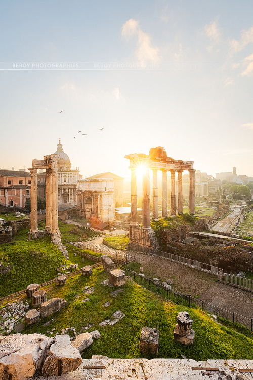 breathtakingdestinations:Roman Forum - Rome - Italy (von Beboy_photographies)