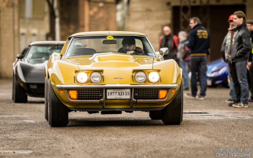 carpr0n:  Starring: Chevrolet Corvette C3By Jean-Jacques MARCHAND