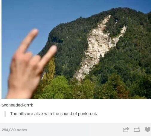itsstuckyinmyhead:  Tumblr and Music 