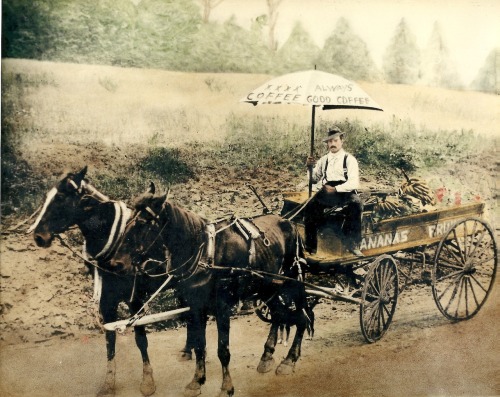 My Great Grandfather and his fruit wagon, early 1900’s.