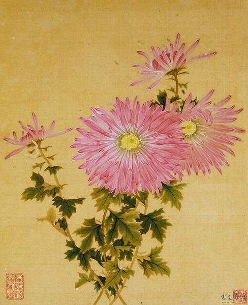 国画 | Guohua | Traditional Chinese paintings, 菊 | Ju | Chrysanthemum. By ancient artist 王延格Wang Yange