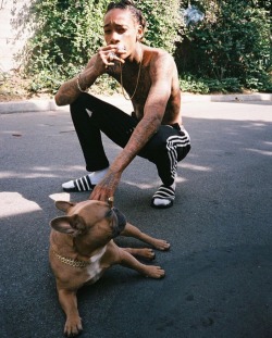 aaashleylove:  Wiz