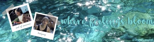 Where Feelings Bloom | Kth