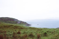 alifeingrain:Kerrera, Scotland - June 2019