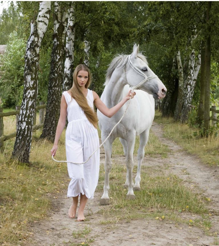 The White Lady of Kórnik - lamus dworski