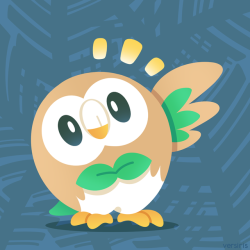 versiris:    Rowlet!  