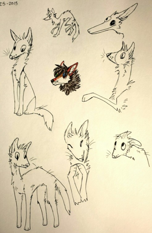 here take a bunch of sketches from the other nightsorry for the weird editting/quality