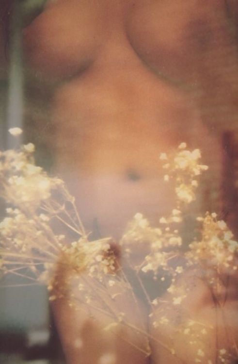 aloveaffairwithlight: //You will never be able to escape from your heart. So it’s better to listen t