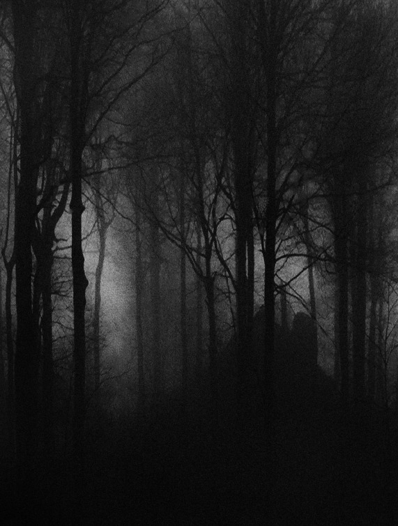 symphony-of-the-damned:  branislavfabijanic:  Secret Place Branislav Fabijanic  