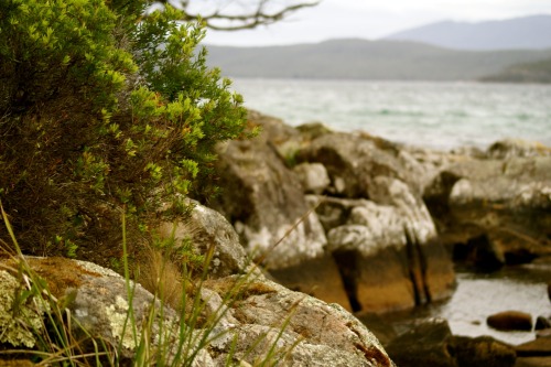 bruny island, tasmania