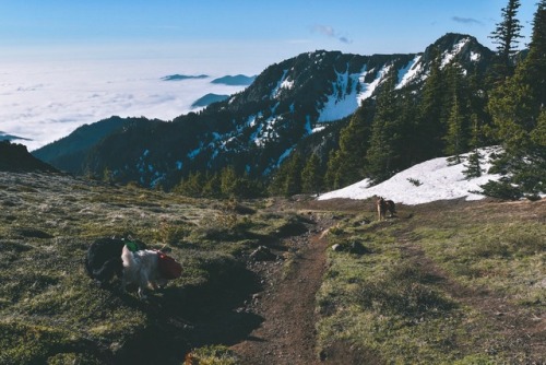 Backpacking above the clouds