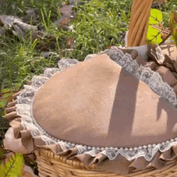opening picnic basket gif 