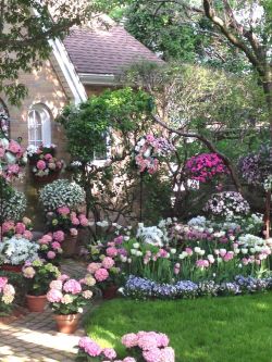 flowersgardenlove:  This garden appears Beautiful