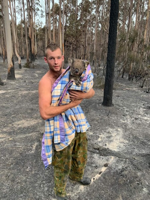 pyretic-perfect-storm: blue–folder: Since the fire has passed through Mallacoota this amazing, selfless young guy has been out searching for injured wildlife. This is one of 7 koalas he’s saved so far.   Good soul! Wishing for rain and relief for