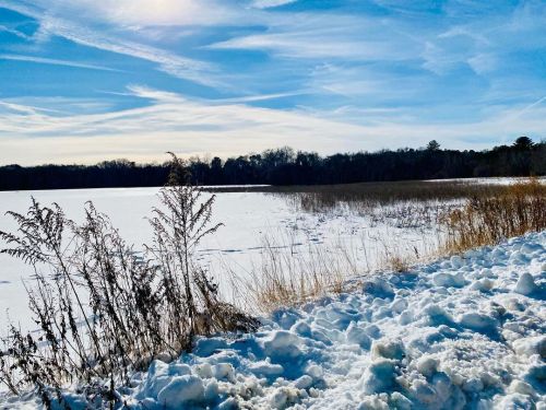 Just taking a walk to enjoy the weather and views.#winter #snow #winterwonderland #newengland #rho