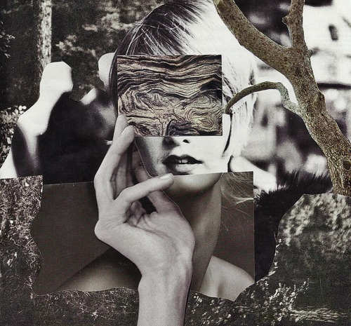 skcollages:  Roots