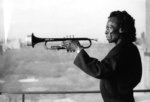 themaninthegreenshirt:  Miles Davis, The Man With The Horn