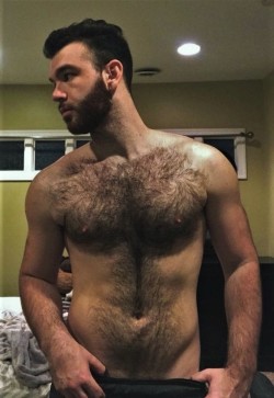yummy1947:This handsome bear has a fabulous