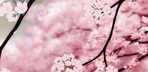 https://64.media.tumblr.com/329b9703c7ab8ad11a9ab463611baa95/tumblr_p81f63pTUh1wt4b1zo1_500.gif
