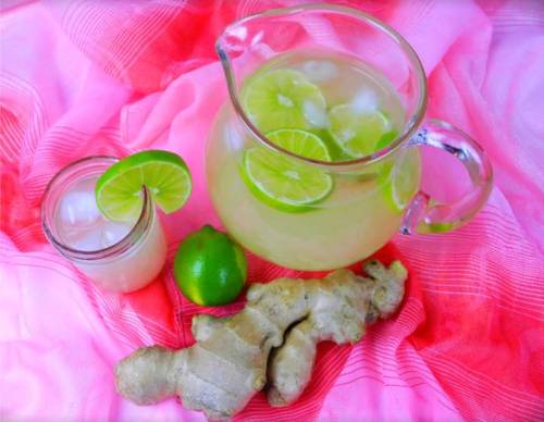 Caribbean Christmas Drinks Tip: Non-Traditional Caribbean Ginger Beer  “Give the kid