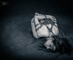 photosropeandflowers:  Something Darker. Model: Anonymous Rope and Photography: Me