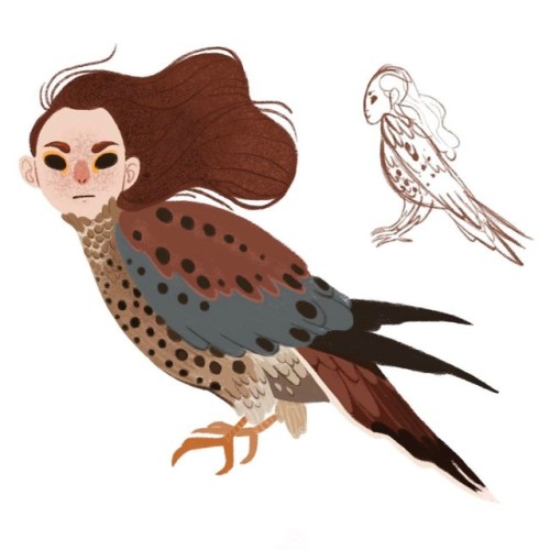 Researching harpies recently; they’re either beautiful women with wings or birds with women&rs