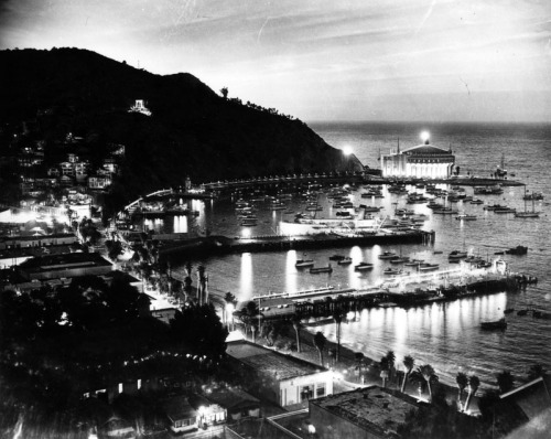 losangelespast-blog:Night view of Avalon Bay, with the Casino shining brightly in the background, Ca