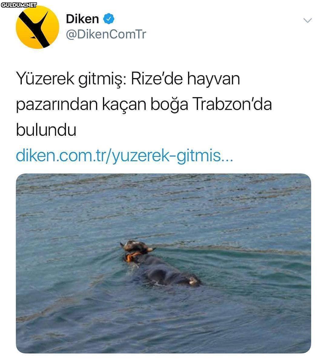 hazırsanız başlıyoruz.......