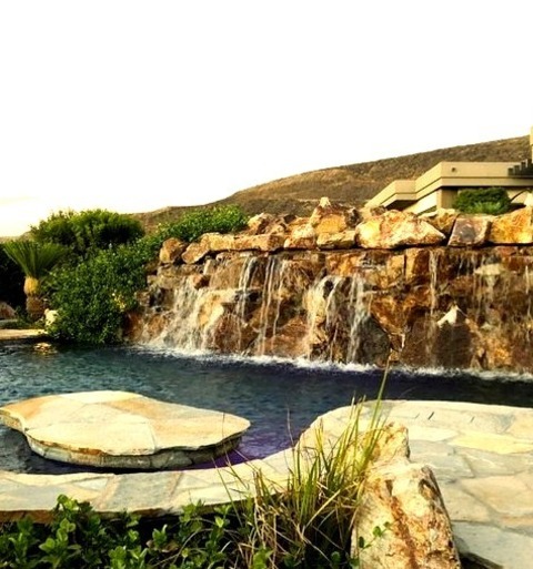 Pool - Tropical Pool
