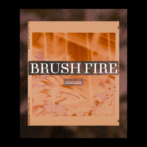 BRUSH FIRE is an AU Marauders Site set in January of 1990 that asks the question of what the world w