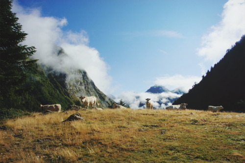 0810; lac d’Ayous