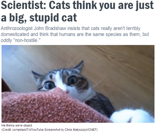 unfollovving:  matabertus:  So that explains it.  they’re right 