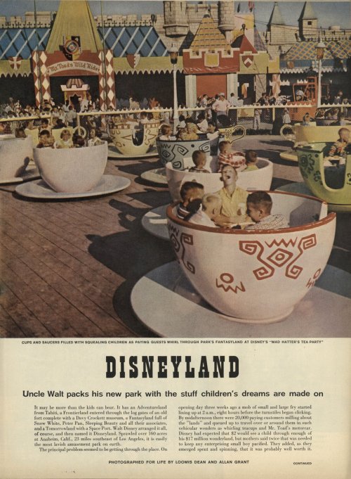 DisneylandLife, August 15, 1955Photography by Loomis Dean and Allan Grant