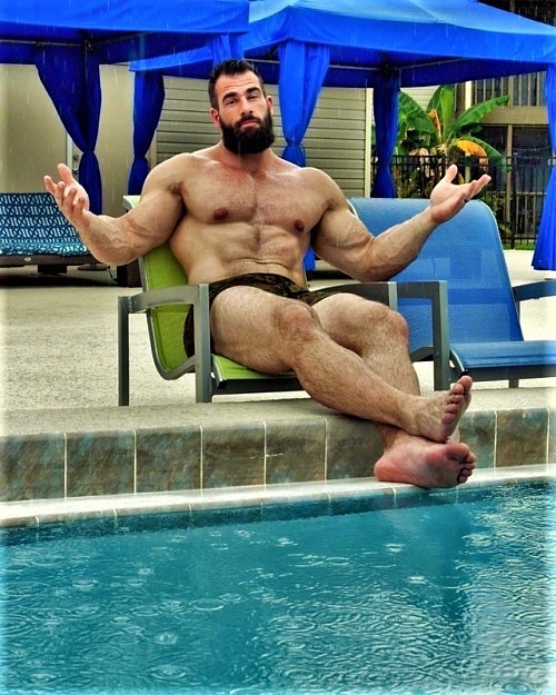 Hairy Dudes & Company
