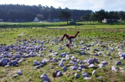 nivueniconnue:  Day 106 of my 365 handstand :