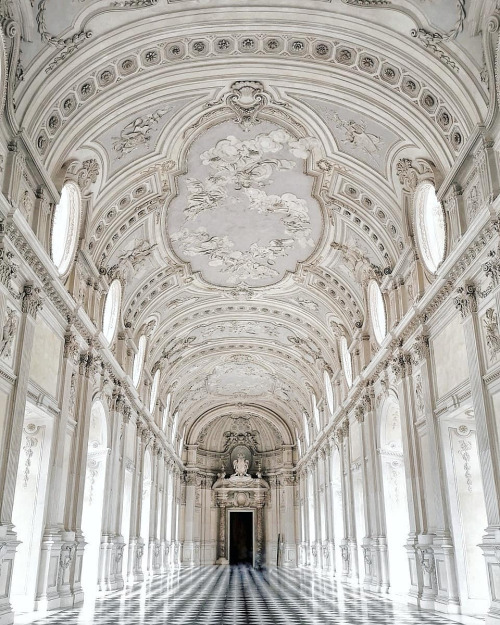 infected:Reggia di Venaria, Italy, photo by Maria Elena Pini