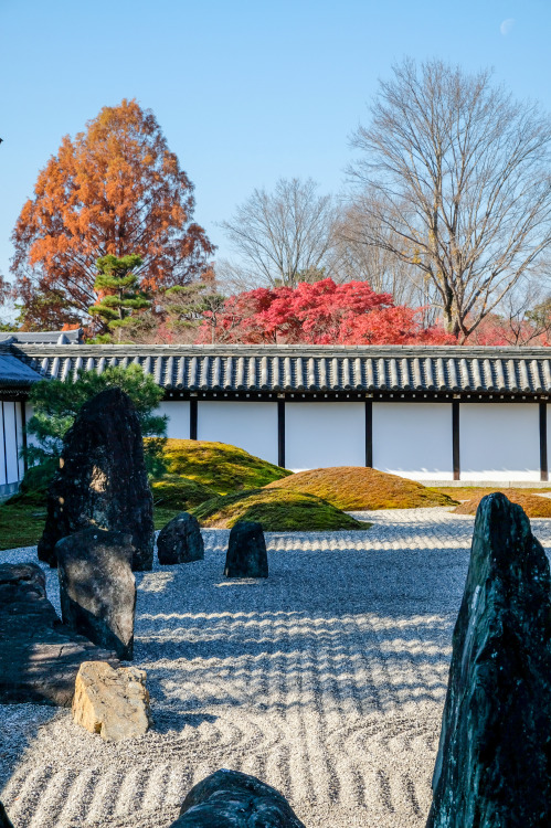  Tofukuji .Kyoto (2020)東福寺 京都市東山区