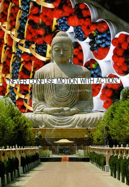 Purple Buddha project