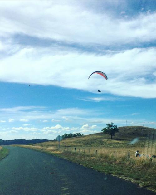 #HallsCreek #Australia #호주 #여행 #Sky #Paragliding . 날씨가 좋아 부드러운 바람의 날엔 . 하늘에서 사람이 내려온다. . (Halls Cree