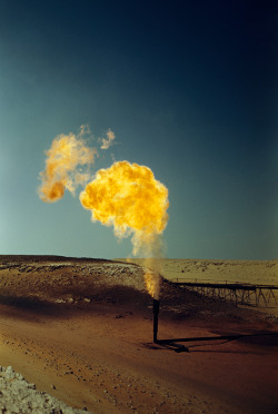 natgeofound:  A pipe emits poisonous gases