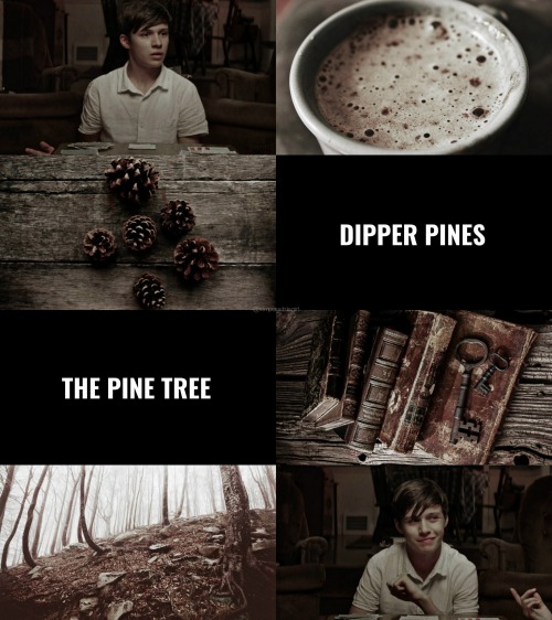 「ＰＩＮＥＳ ＡＥＳＴＨＥＴＩＣ」