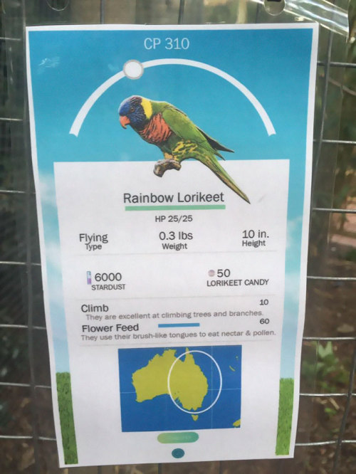 46187:  (via Zookeeper Can’t Take It Anymore, Decides To Add Pokemon Go Signs Next To Animals | Bored Panda) 