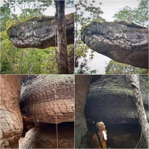 heroofthreefaces:thypandatetor:sixpenceee:Cave in Thailand looks like a giant petrified snake  