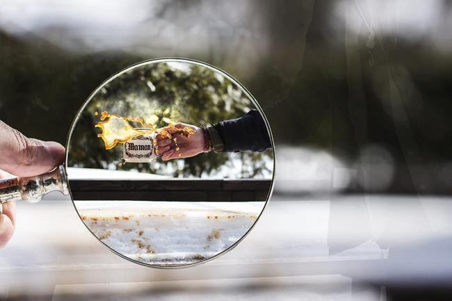 artshelp:freedom photography by Felix Bosse ve Jackson  