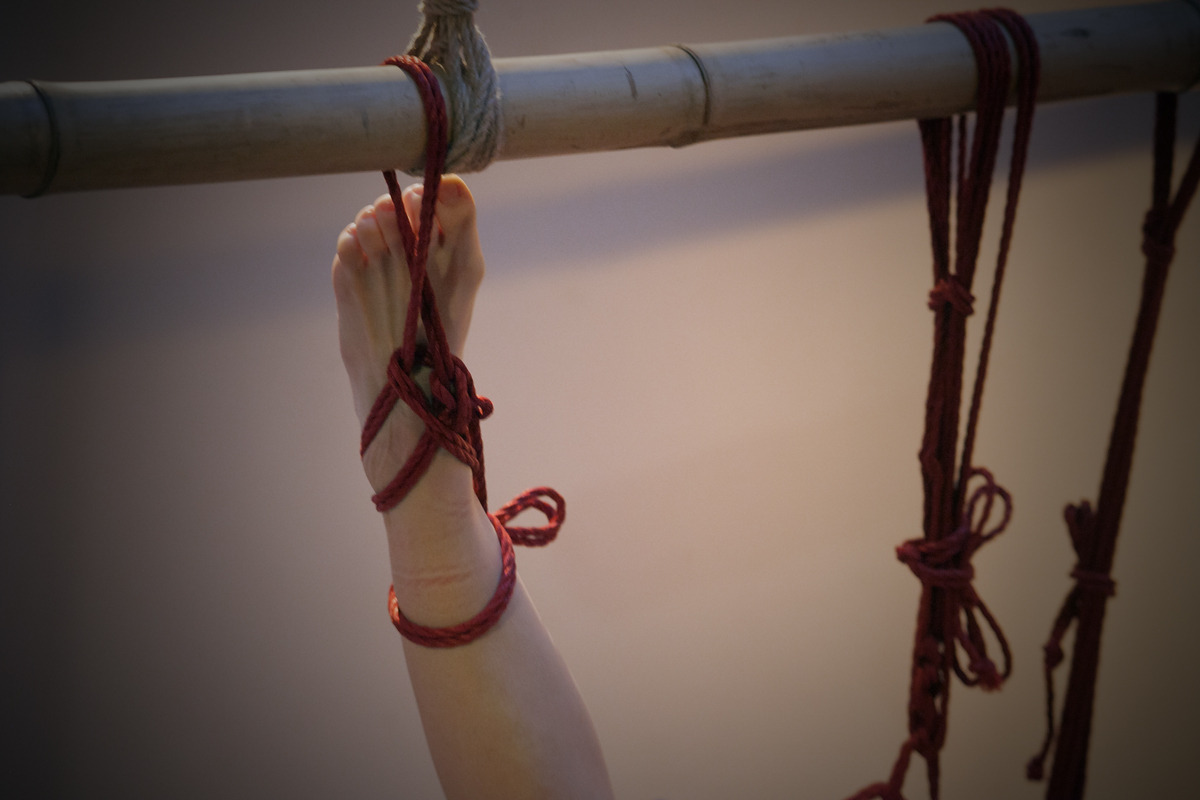leisyleidy:   Chat sauvage dans les cordes de Marika Gorgone (3/3)@misungui​@placedescordes​