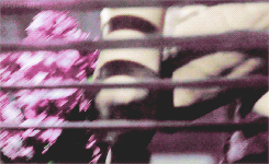 satherine:you’re not dean, you’re not your dad ; you’re sam. and sam is so awesome.