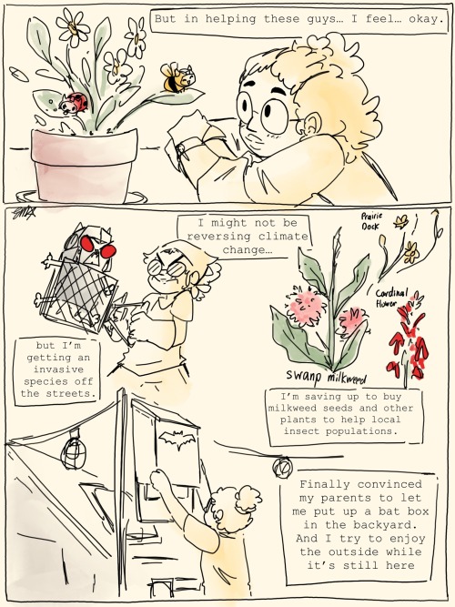 Some Suggestions For Your Growing Pet Family 