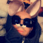 xbearknight-blog